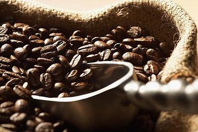 年度萌系游戏准大赏！《玉响未来》中文版即将发售！